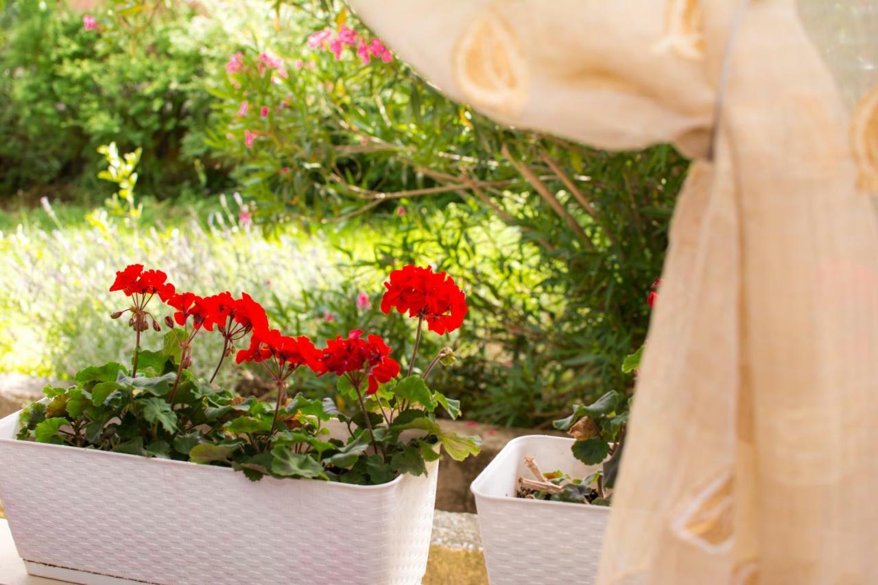 Apartment Vida - Amazing Place With Garden And Terrace ริเยกา ภายนอก รูปภาพ