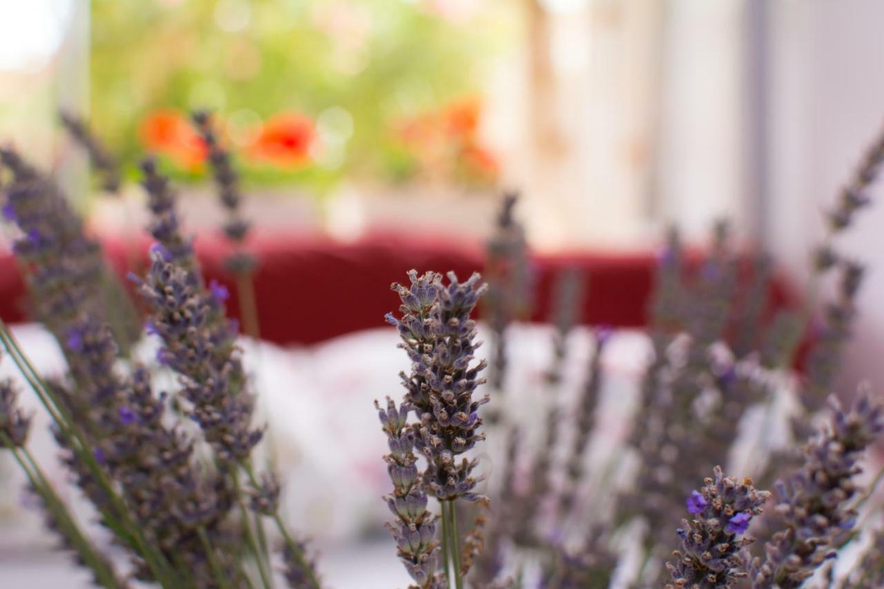 Apartment Vida - Amazing Place With Garden And Terrace ริเยกา ภายนอก รูปภาพ